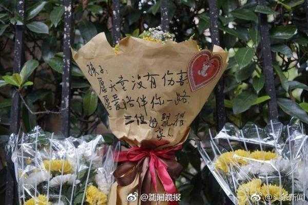 🤯什么是顶级射手！克莱在纽约训练连进72记三分球🎯